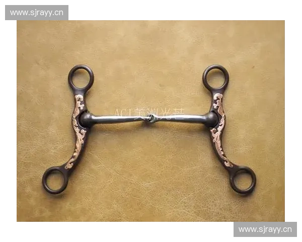 马术培训课程全面解析 提升骑术技巧与马匹沟通能力 马术培训课程全面解析 提升骑术技巧与马匹沟通能力