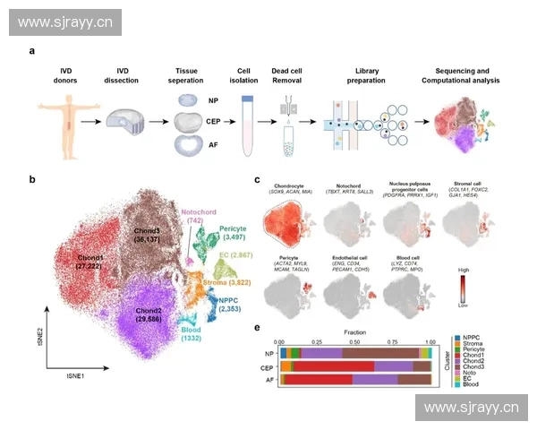 以身体习惯性动作为线索解读潜意识与性格密码的奥秘行为心理学观察
