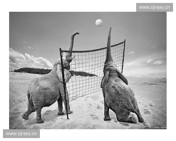 沙滩排球运动发展与竞技魅力全面解析与训练技巧分享指南实践经验总结 沙滩排球运动发展与竞技魅力全面解析与训练技巧分享指南实践经验总结